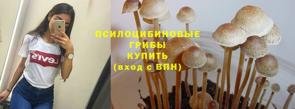 экстази Новокубанск