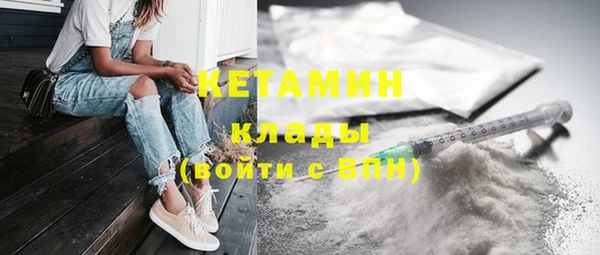 индика Киреевск