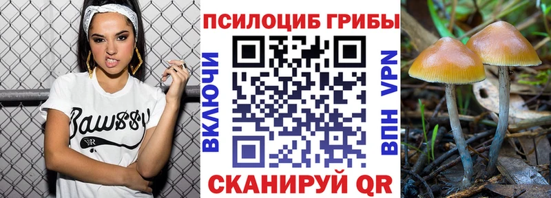 Галлюциногенные грибы ЛСД  Электроугли 